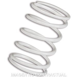 Muelle Polea Conducida Blanco  BMW C 600