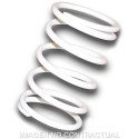 Muelle Polea Conducida blanco  Suzuki Burgman 400 K10