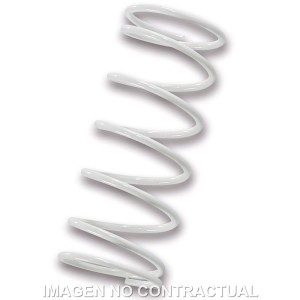 Muelle Polea Conducida Malossi blanco Piaggio