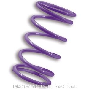 Muelle Polea Conducida Malossi Violeta Kymco AK550