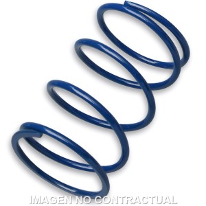 Muelle Polea Conducida Azul Piaggio Zip, Typhoon