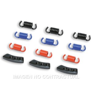 Muelles Embrague Delta Clutch Malossi MHR
