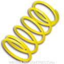 Muelle Polea Conducida Amarillo Leonardo 250