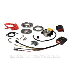 ENCENDIDO ROTOR INTERNO MALOSSI MHR TEAM II PIAGGIO