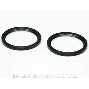 Juego retenes aceite Malossi 48x41x4