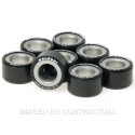Rodillos Htroll 25x14,9 10 GR