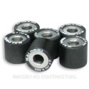 Rodillos Htroll 25X22 20 GR