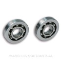 Cojinetes Malossi Alto Rendimiento Piaggio Zip