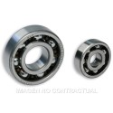 Cojinetes Malossi 20-17 Motocarro APE 50
