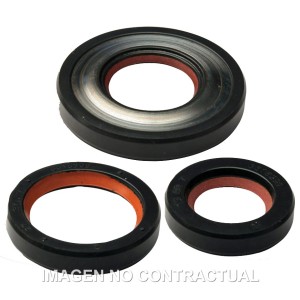 Juego retenes aceite Malossi Vespa PK