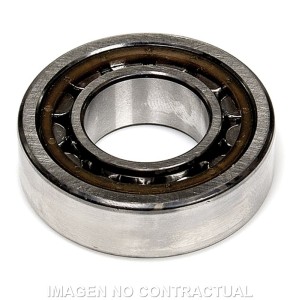 Cojinete de Cigüeñal Malossi 25x25x15 C3