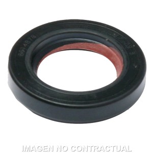 RETEN ACEITE MALOSSI FKM CARTER DESARROLLO MINAR 17x28x25 mm