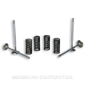 Válvulas t Stroke Malossi C/ Muelles Motor Piaggio Leader