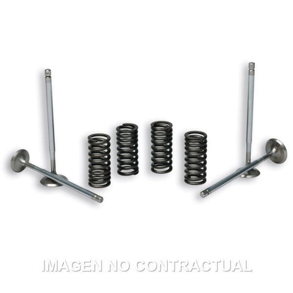Válvulas t Stroke Malossi C/ Muelles Motor Piaggio Leader