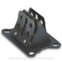 Válvula laminar de Carbono VL6 Motor AM6, NSR 75