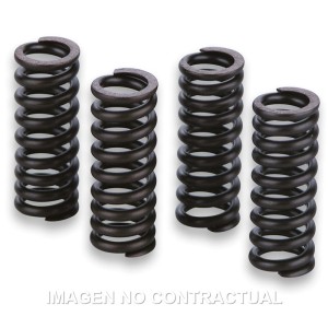 Muelles Para Válvulas Motor Gilera Runner VXR 200