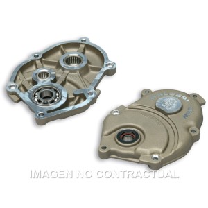 Tapa Cubredesmultiplicador Malossi Motor Minarelli