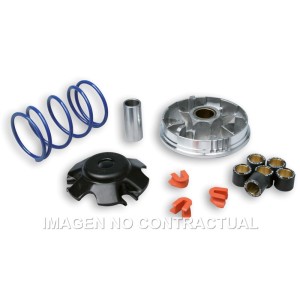 Variador Malossi Multivar 2000 Speedfight 100 Sin Catalizador