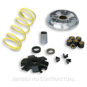 Variador Malossi Multivar Derbi Predator LC