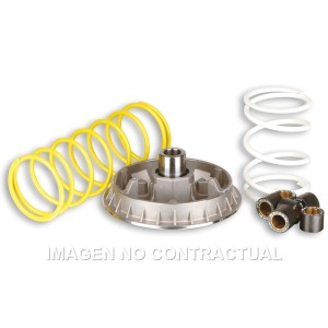 Variador Malossi Multivar 2000 Foresight 250