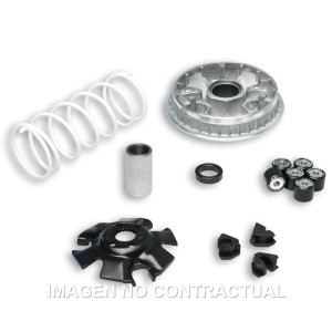 Variador Malossi Multivar 2000 Epicuro125, 150