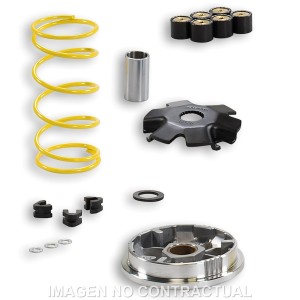 Variador Malossi Multivar Suzuki Address 100