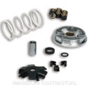Variador Malossi Multivar Yamaha Giggle 50 4T