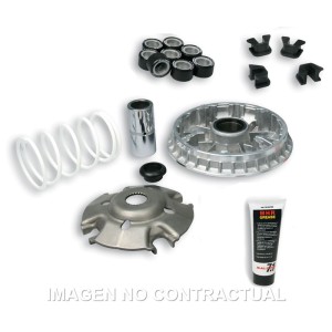 Variador Malossi Multivar Malossi Kymco X-Citing