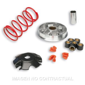 Variador Malossi Multivar Yamaha D´Elight 115