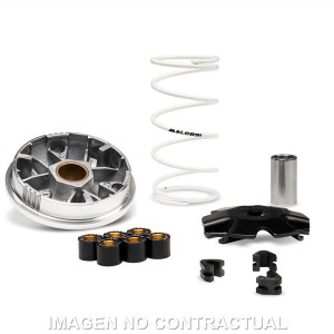 Variador Malossi Multivar RIEJU BYE BIKE ONE