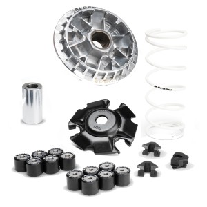 Variador Malossi Multivar HONDA PCX 125 Euro5