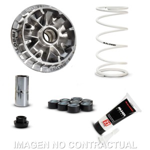 VARIADOR MALOSSI MULTIVAR SUZUKI BURGMAN 400 K10