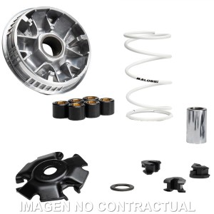 VARIADOR MALOSSI MULTIVAR VOGE SFIDA SR3 250 E5