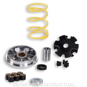 Variador Malossi Multivar Honda SH 50 Scoopy