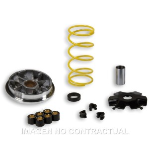 Variador Malossi Multivar Suzuki 50 Adress,Katana,Formula