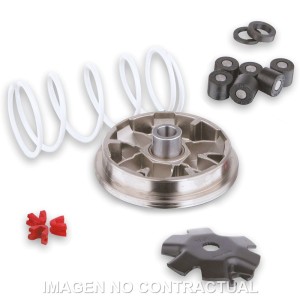 Variador Malossi Multivar Pgo Comet 50