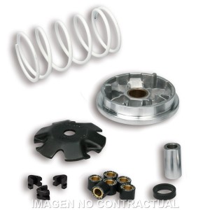 Variador Malossi Multivar Peugeot Buxy Zenith, Speedake