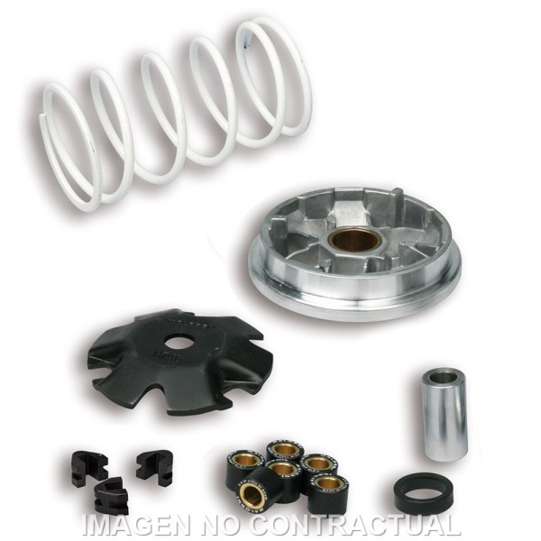Variador Malossi Multivar Peugeot Buxy Zenith, Speedake