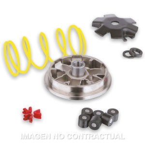 Variador Malossi Multivar PGO Big Max