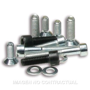 Tornillería Encendido Rotor Interno Piaggio