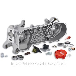 Cárter motor completo Malossi RC-One Piaggio 50