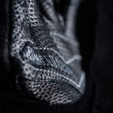 GUANTES FIVE X-RIDER WP NEGRO