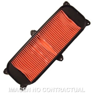 Filtro aire Meiwa Kymco People S 250