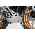 Protector de motor Plateado. BMW R 1250 GS / Adv / Rallye (18-).