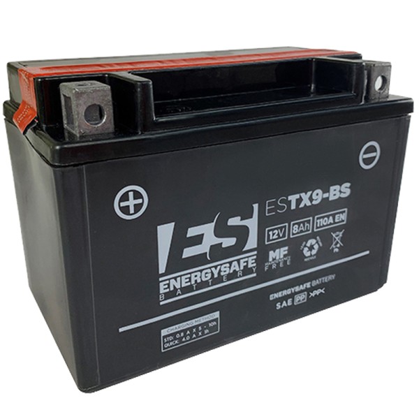 Batería Energysafe ESTX9-BS Sin Mantenimiento