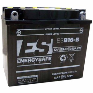 Batería Energysafe ESB16-B Convencional
