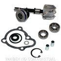 Kit Reparación Bomba De Agua Kymco B&W 250