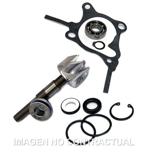 Kit Reparación Bomba De Agua Honda Foresight 250