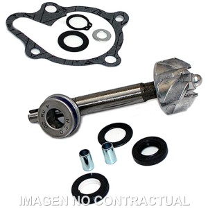 Kit Reparación Bomba De Agua Kymco Dink 125/200