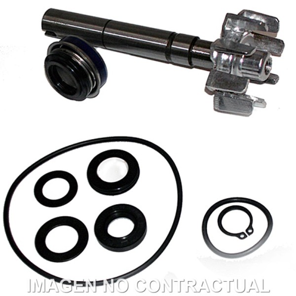 Kit Reparación Bomba De Agua Kymco Xciting 500